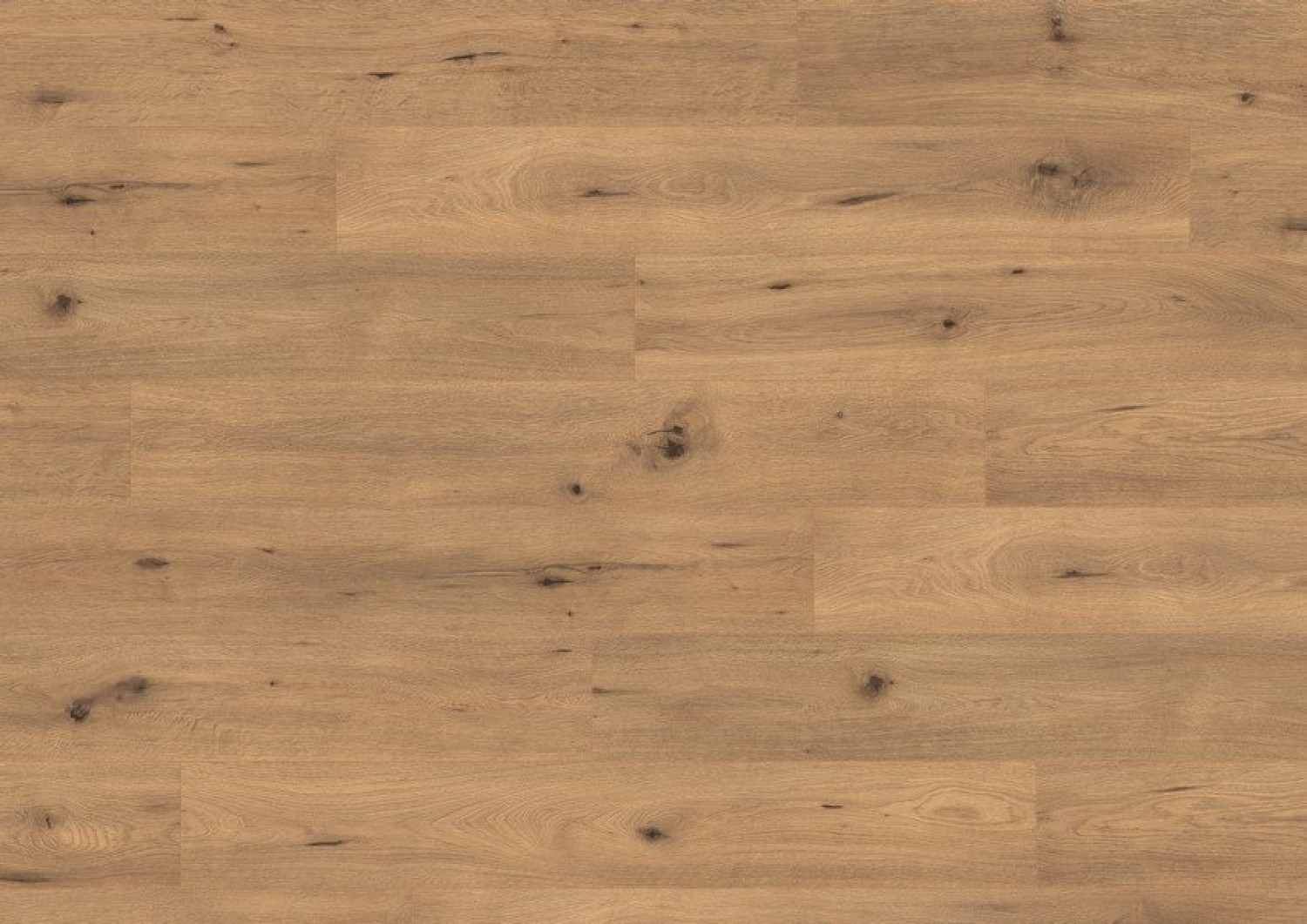 EGGER Laminat Wildeiche natur Classic NatureSense
