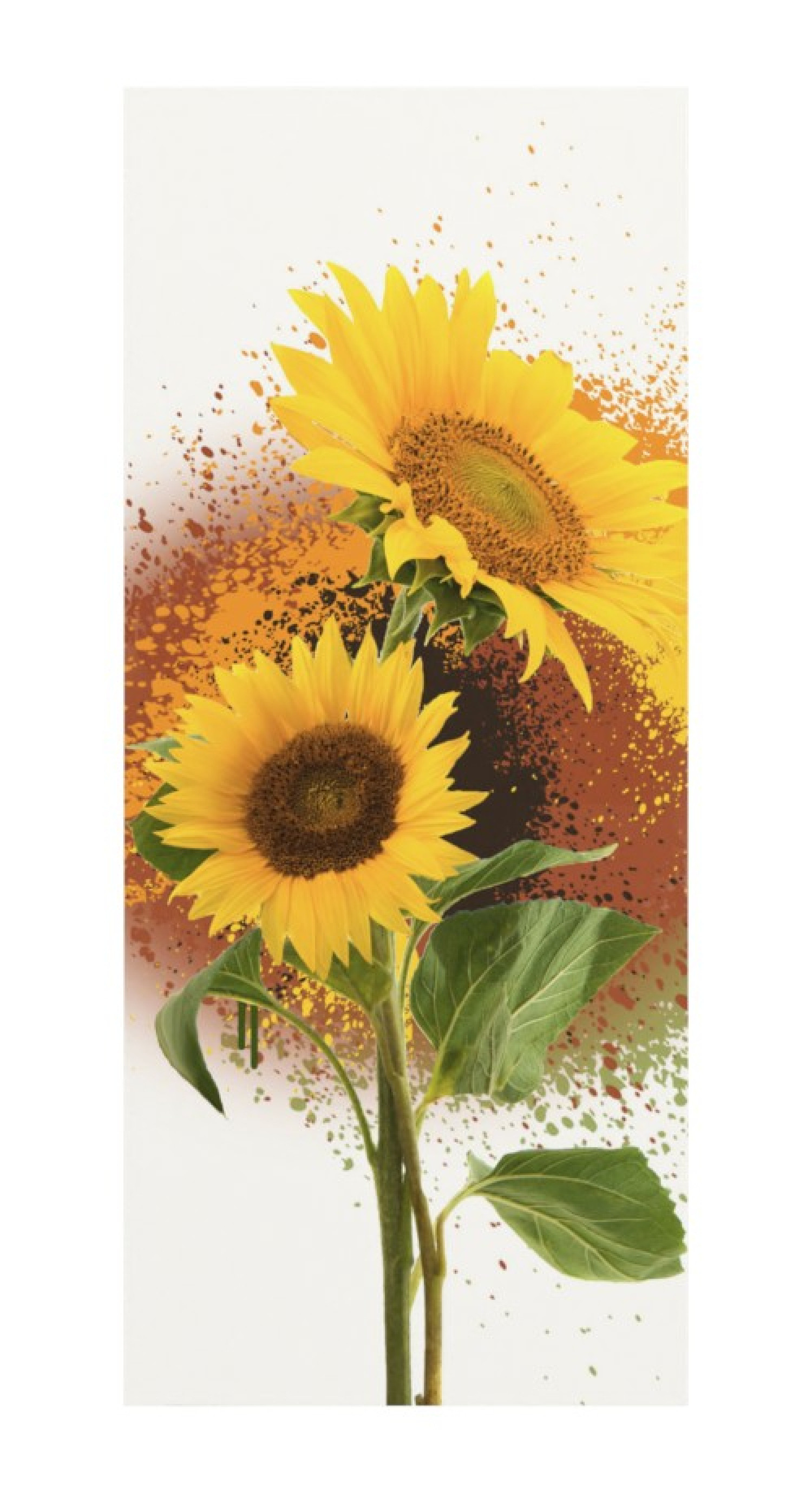 Original Sonnenblumen Muster - Marc Knust