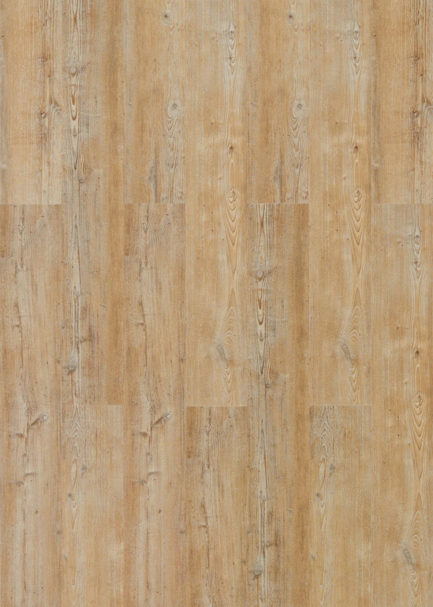 Dielenansicht von Arcadian Soya Kiefer Vinylboden wood Hydrocork Plus - Wicanders