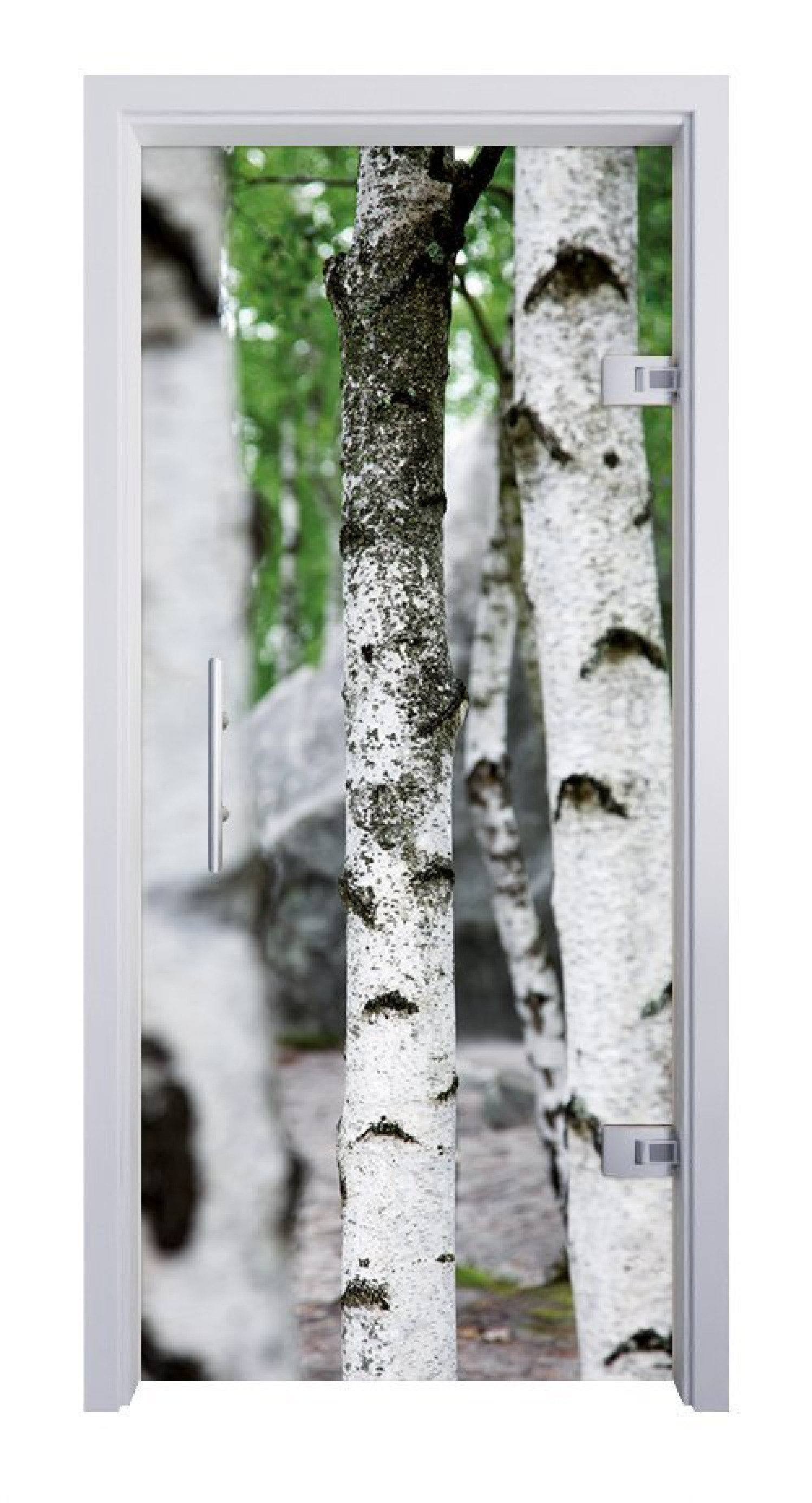ERKELENZ Glaspendeltür Birke Fotoprint
