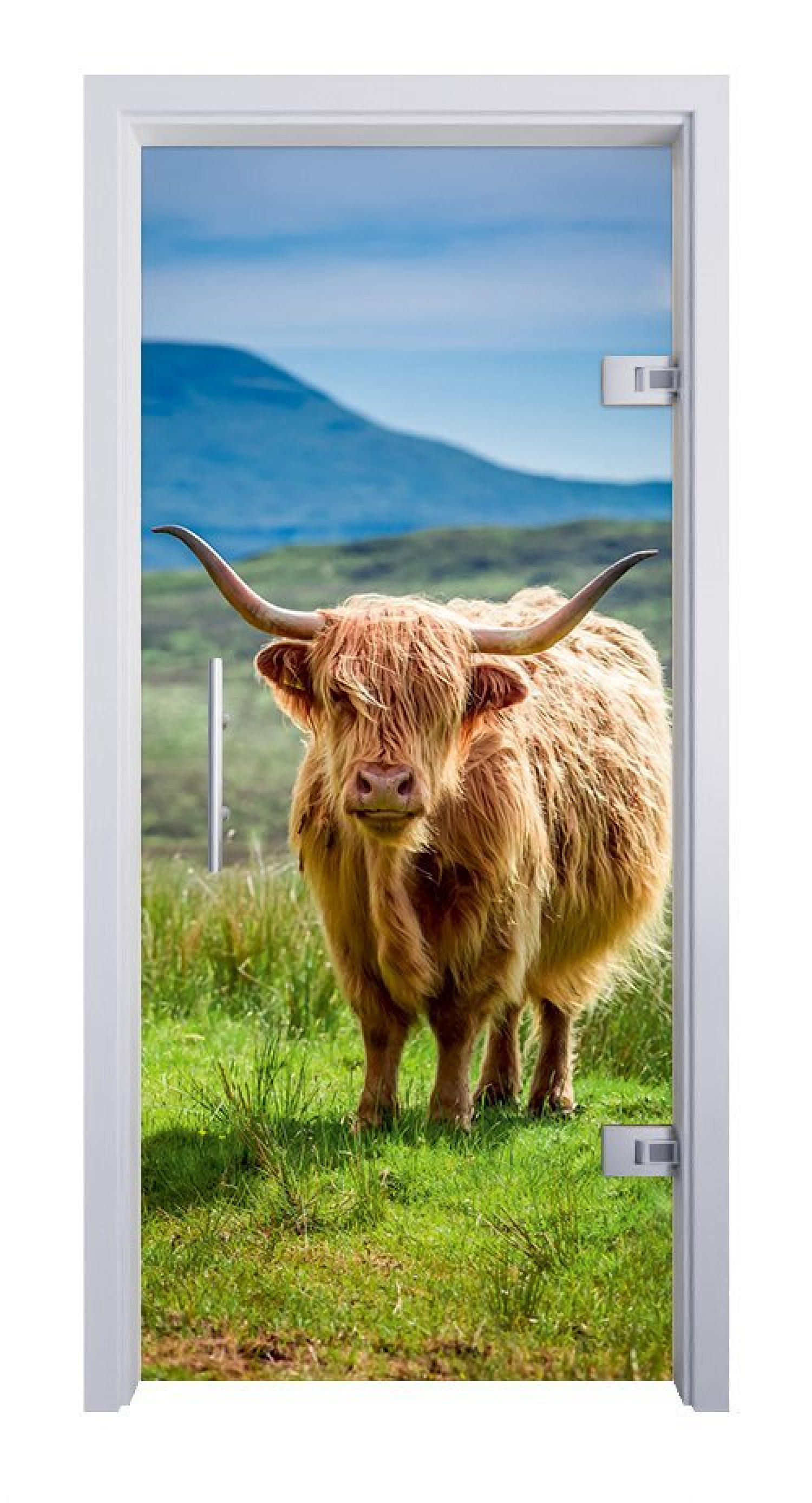 ERKELENZ Glaspendeltür Longhorn Fotoprint