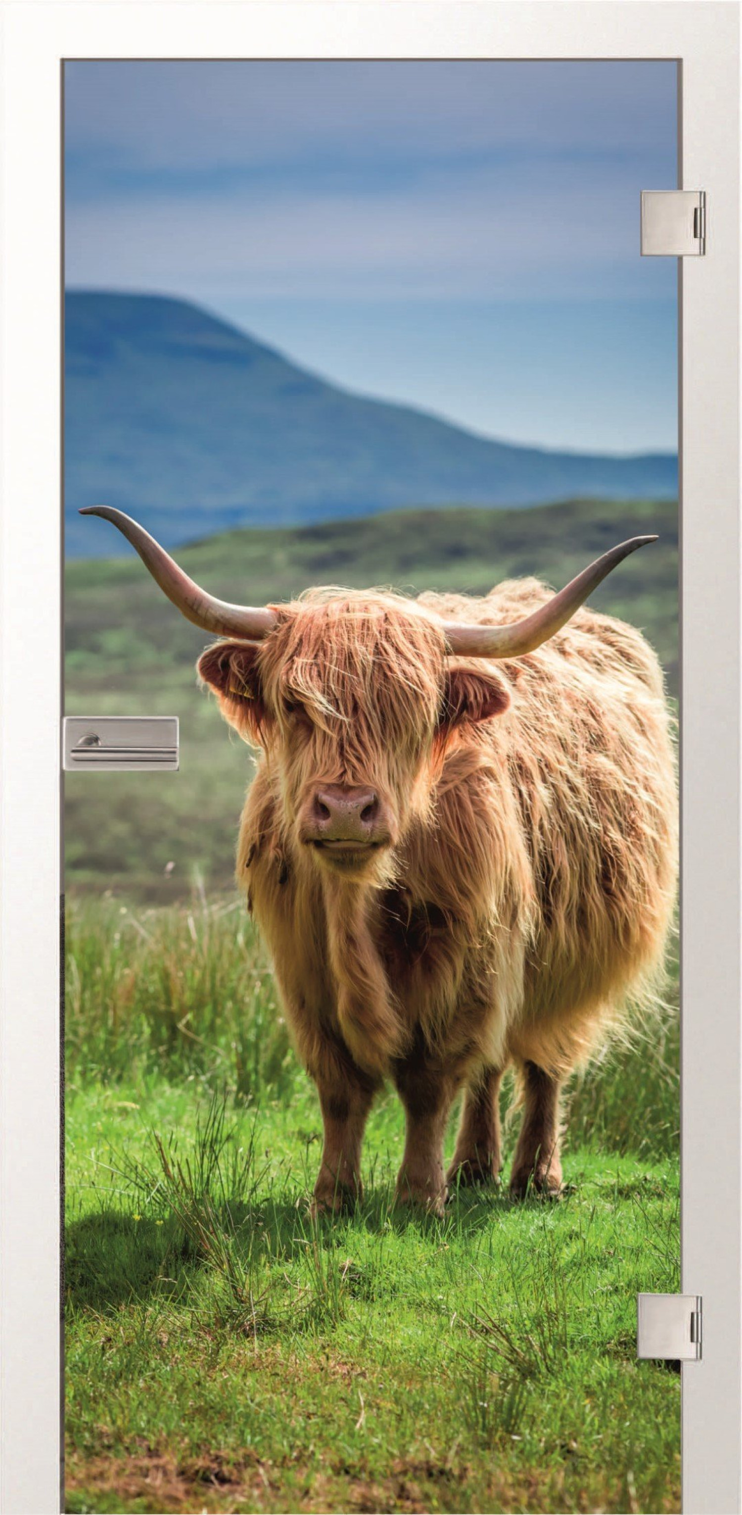 ERKELENZ Glastür Longhorn Fotoprint