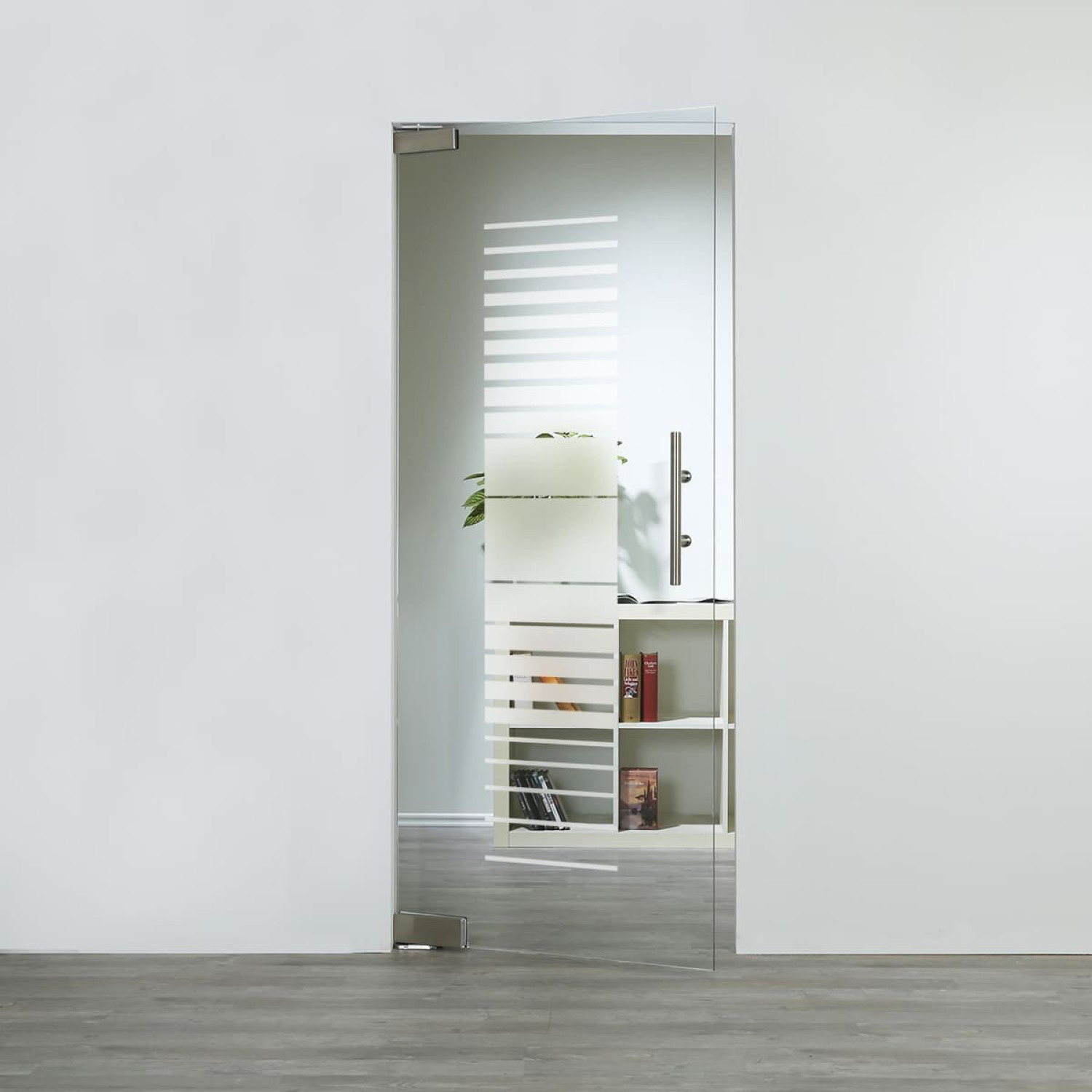 LIENBACHER GLAS Glaspendeltür Modell 306 Klarglas