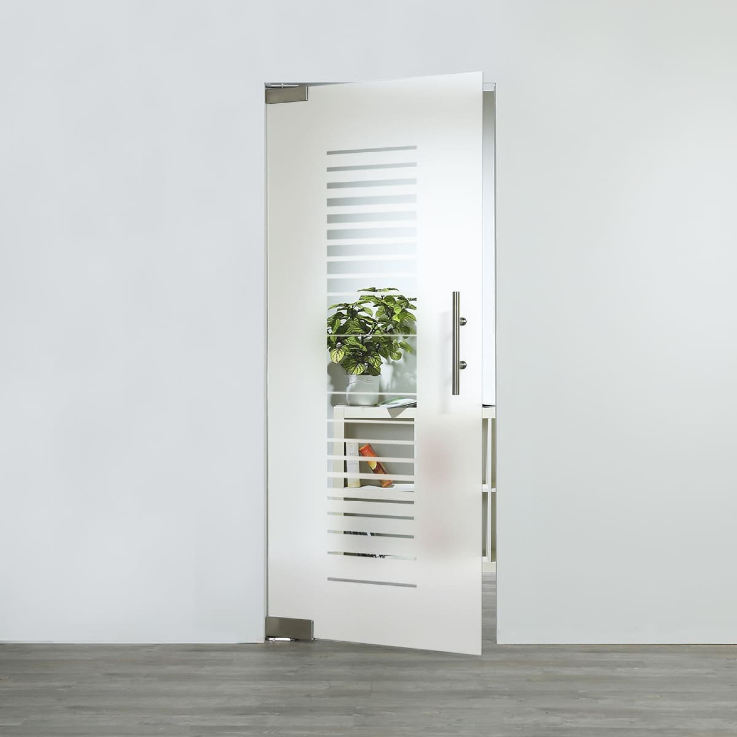 LIENBACHER GLAS Glaspendeltür Modell 306 negativ Klarglas