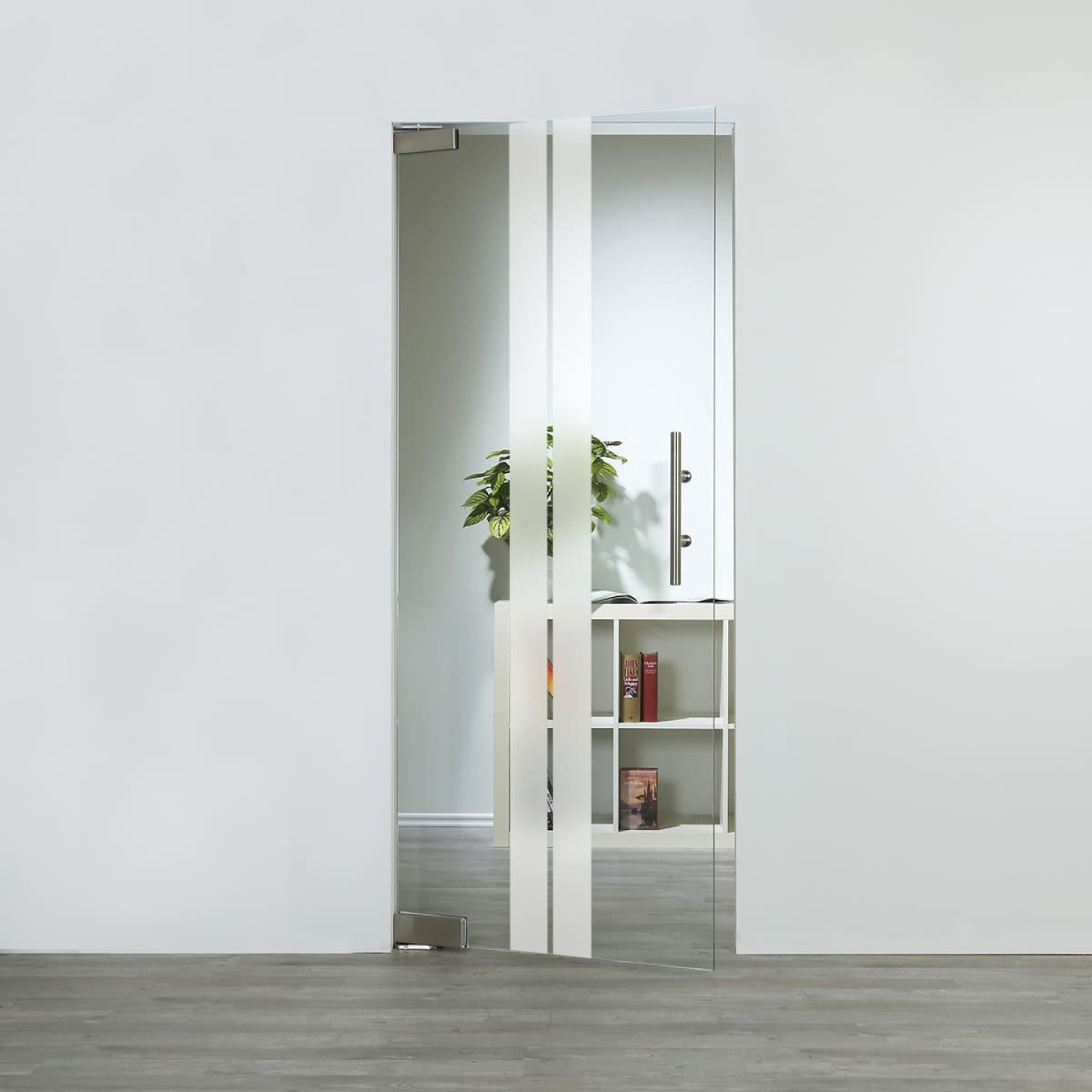 LIENBACHER GLAS Glaspendeltür Modell 316 Klarglas