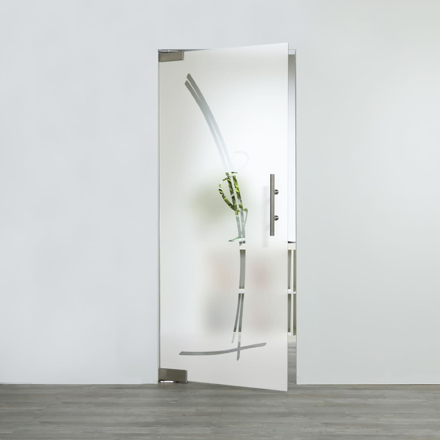 Ansicht von LIENBACHER GLAS Glastür Modell 338 Klarglas