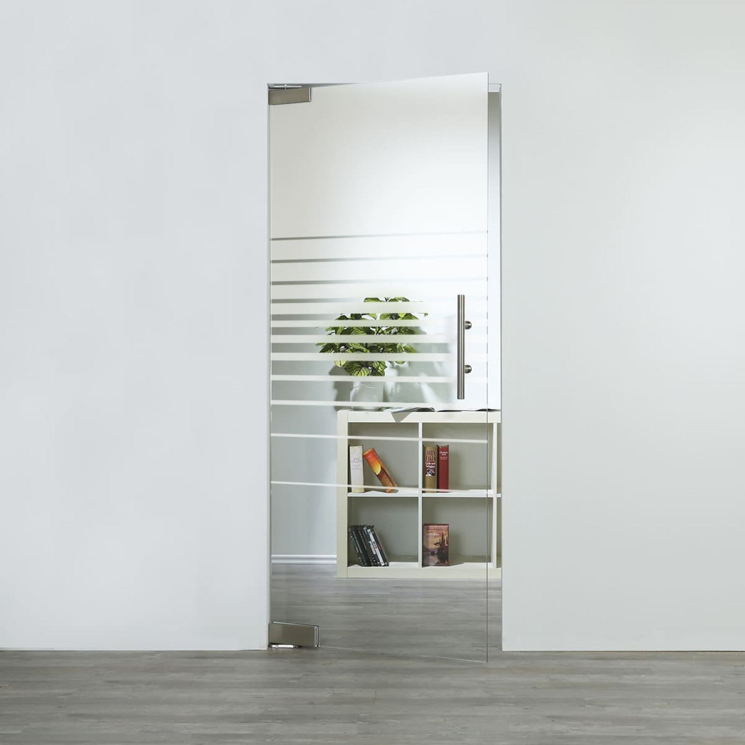 LIENBACHER GLAS Glaspendeltür Modell 342 negativ Klarglas