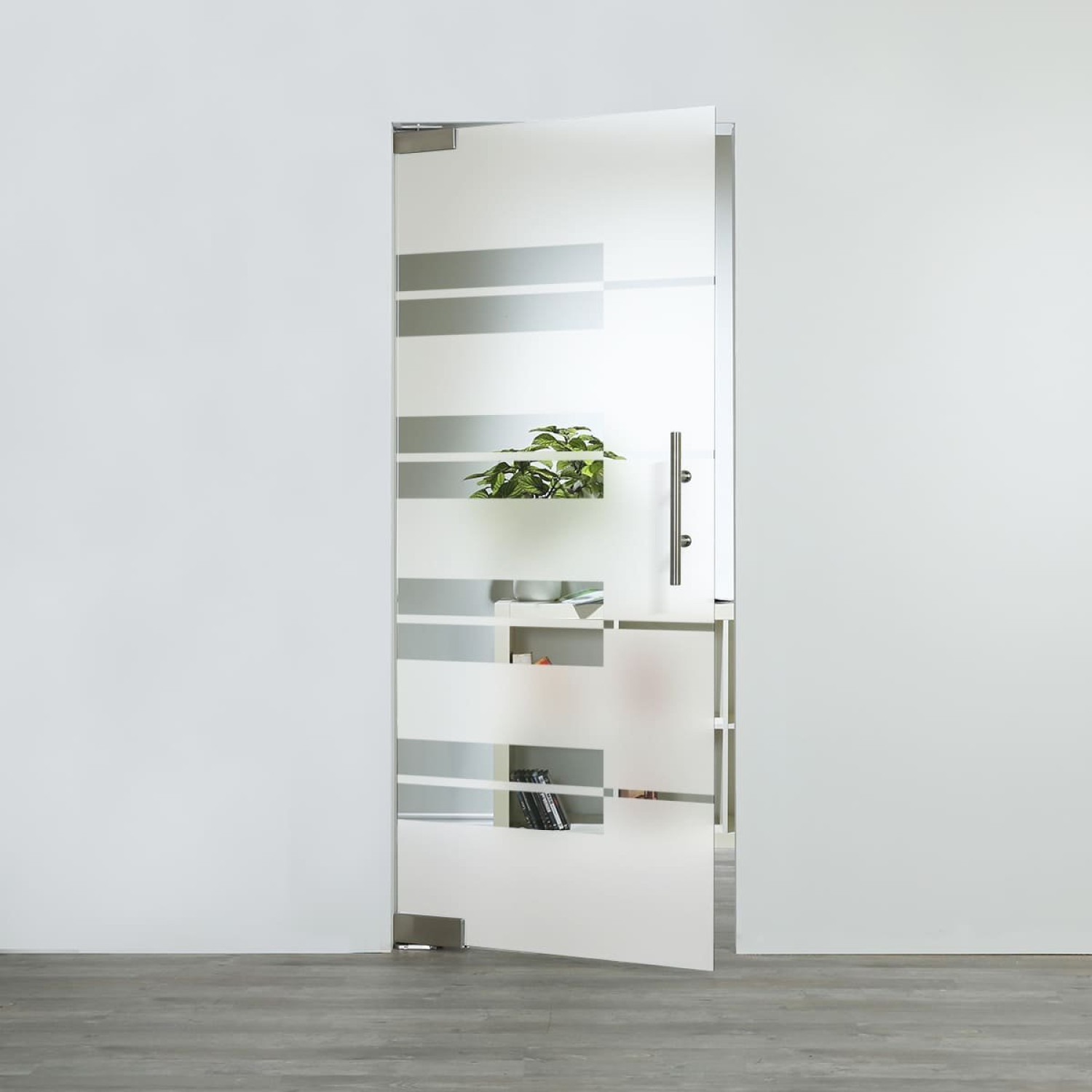 LIENBACHER GLAS Glaspendeltür Modell 348 Klarglas