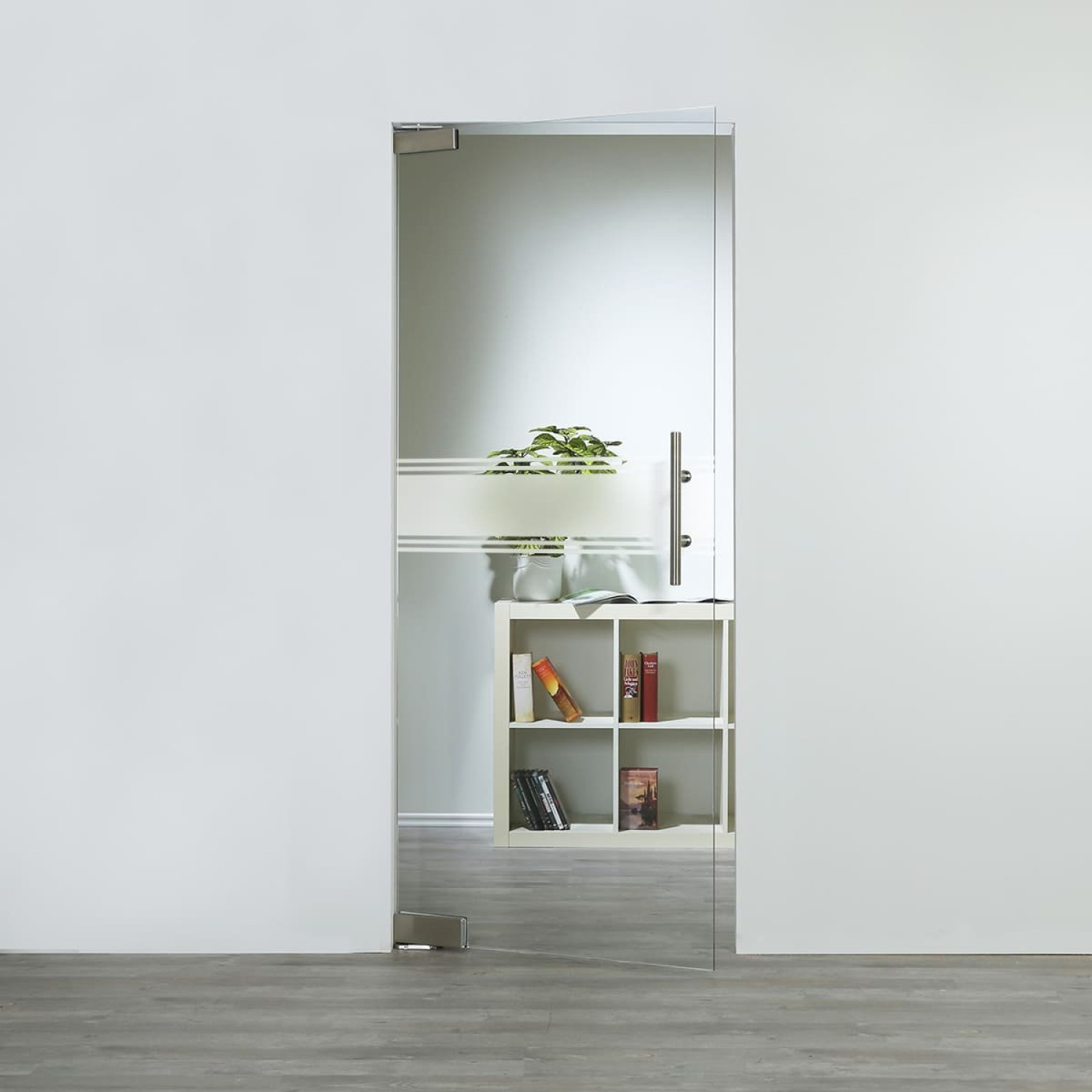 LIENBACHER GLAS Glaspendeltür Modell 349 Klarglas