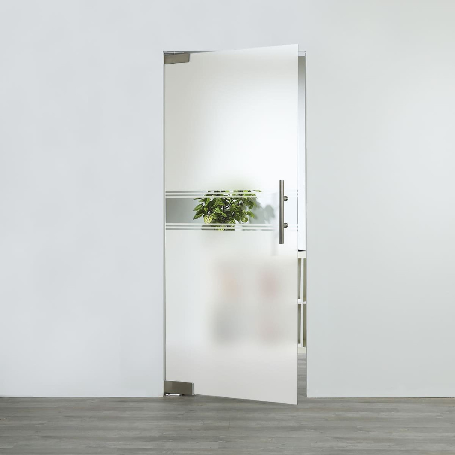 LIENBACHER GLAS Glaspendeltür Modell 349 negativ Klarglas