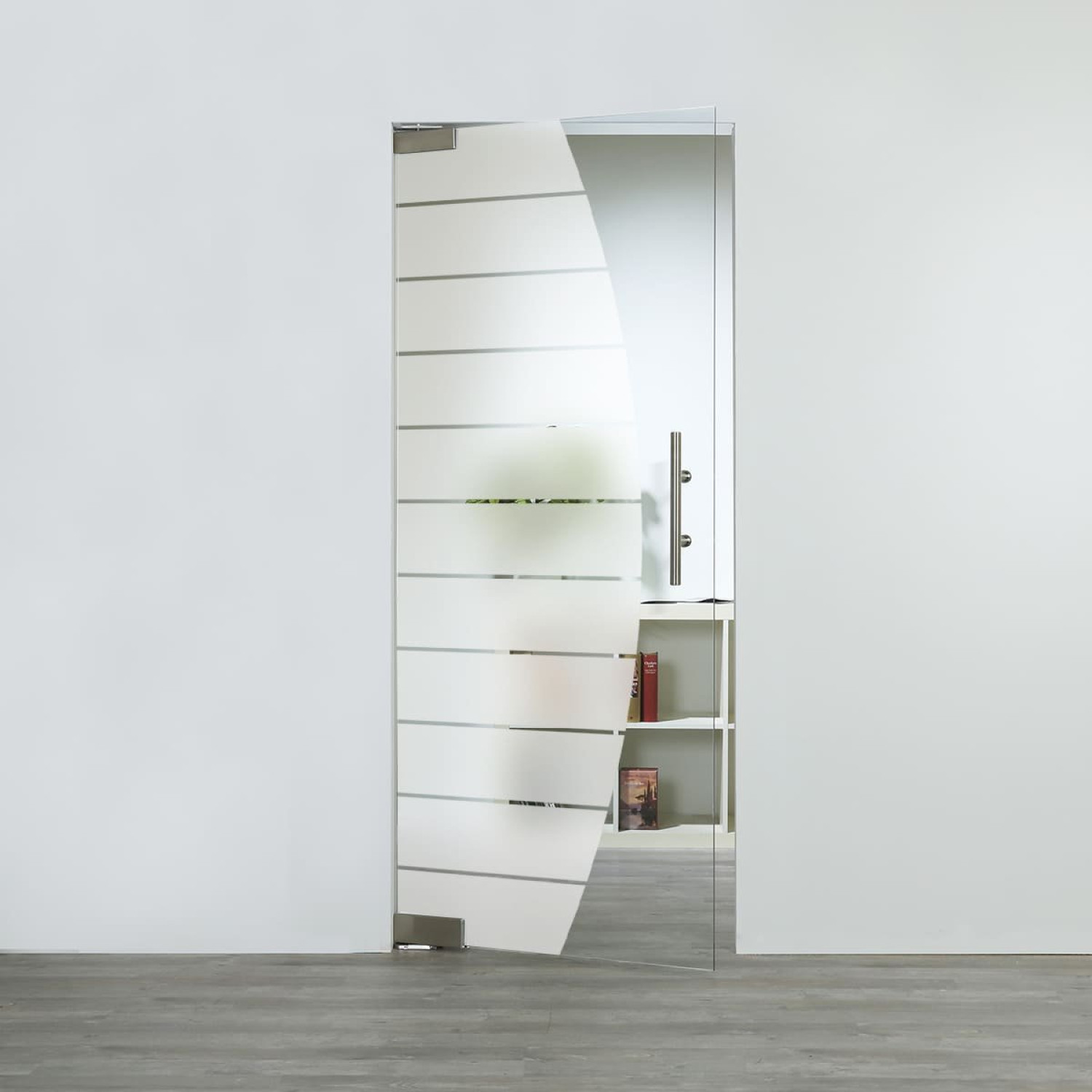 LIENBACHER GLAS Glaspendeltür Modell 356 Klarglas