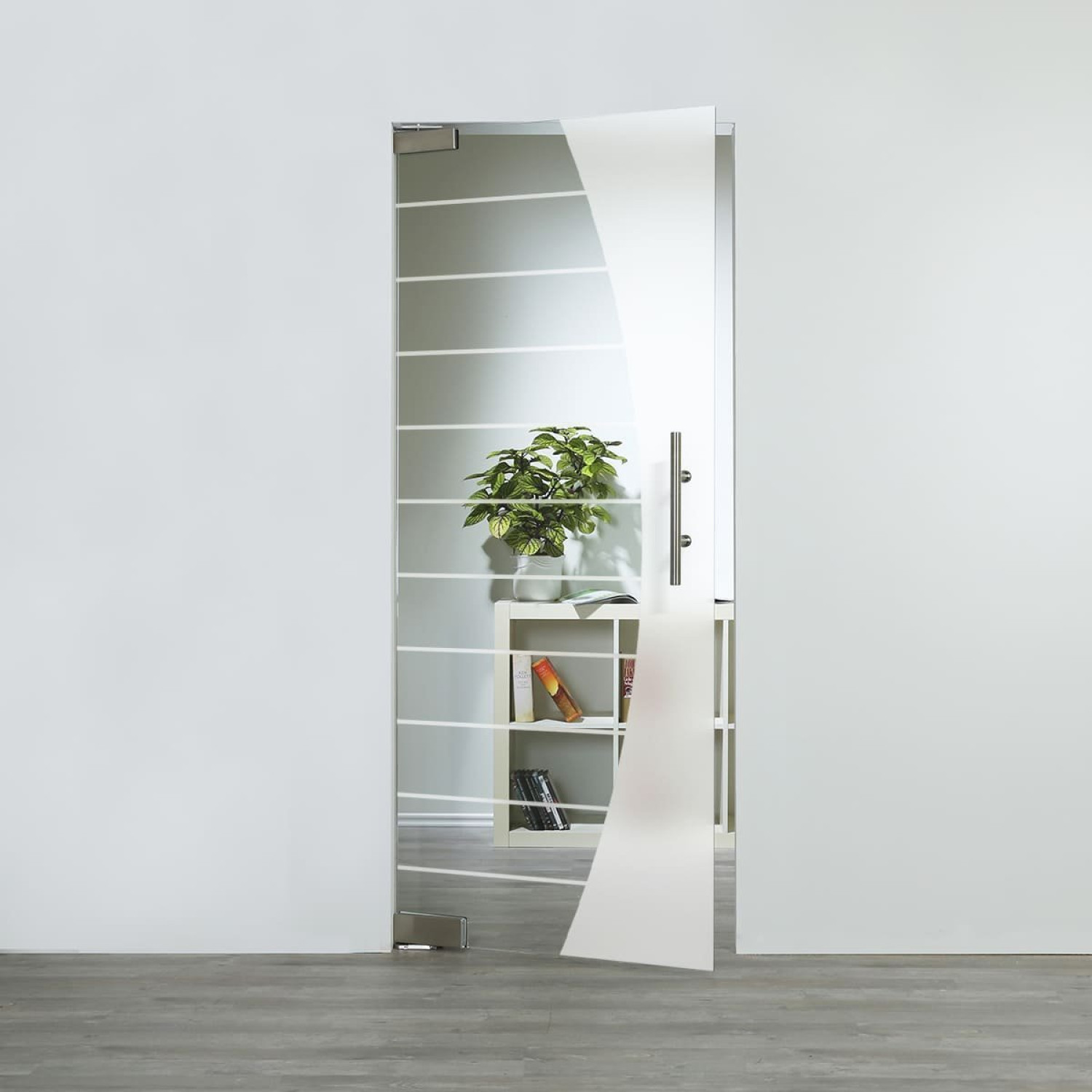 LIENBACHER GLAS Glaspendeltür Modell 356 negativ Klarglas