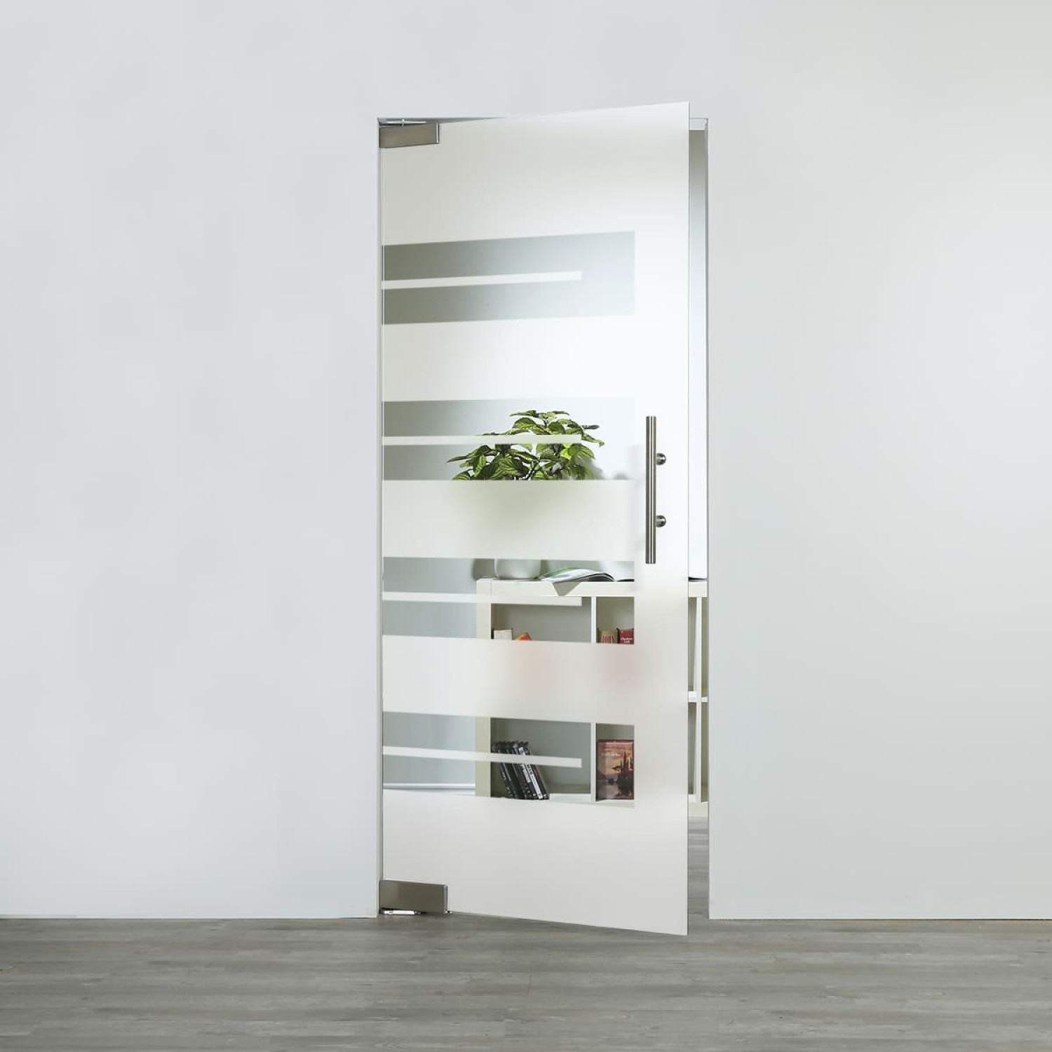 LIENBACHER GLAS Glaspendeltür Modell 363 Klarglas