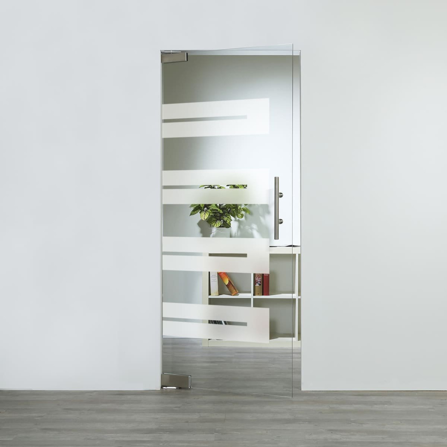 LIENBACHER GLAS Glaspendeltür Modell 363 negativ Klarglas