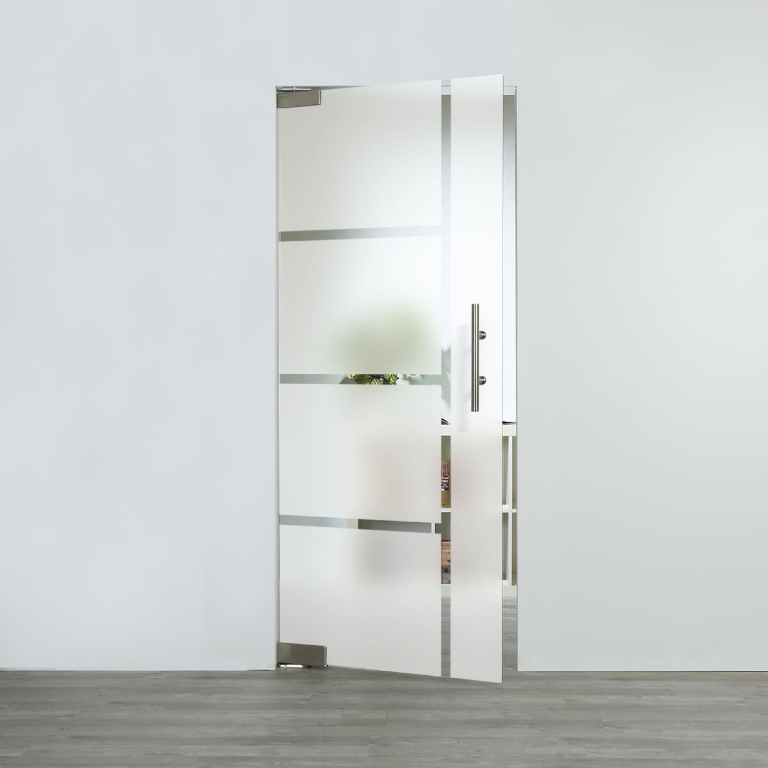 LIENBACHER GLAS Glaspendeltür Modell 371 Klarglas