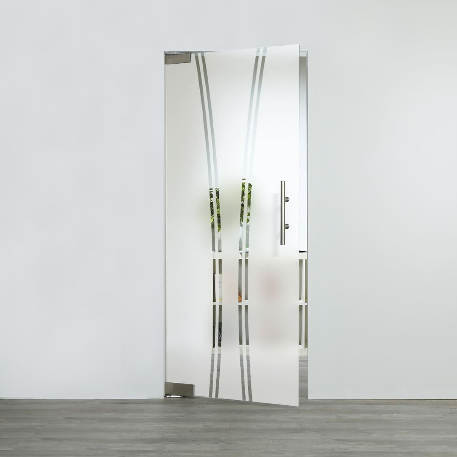 LIENBACHER GLAS Glaspendeltür Modell 393 Klarglas