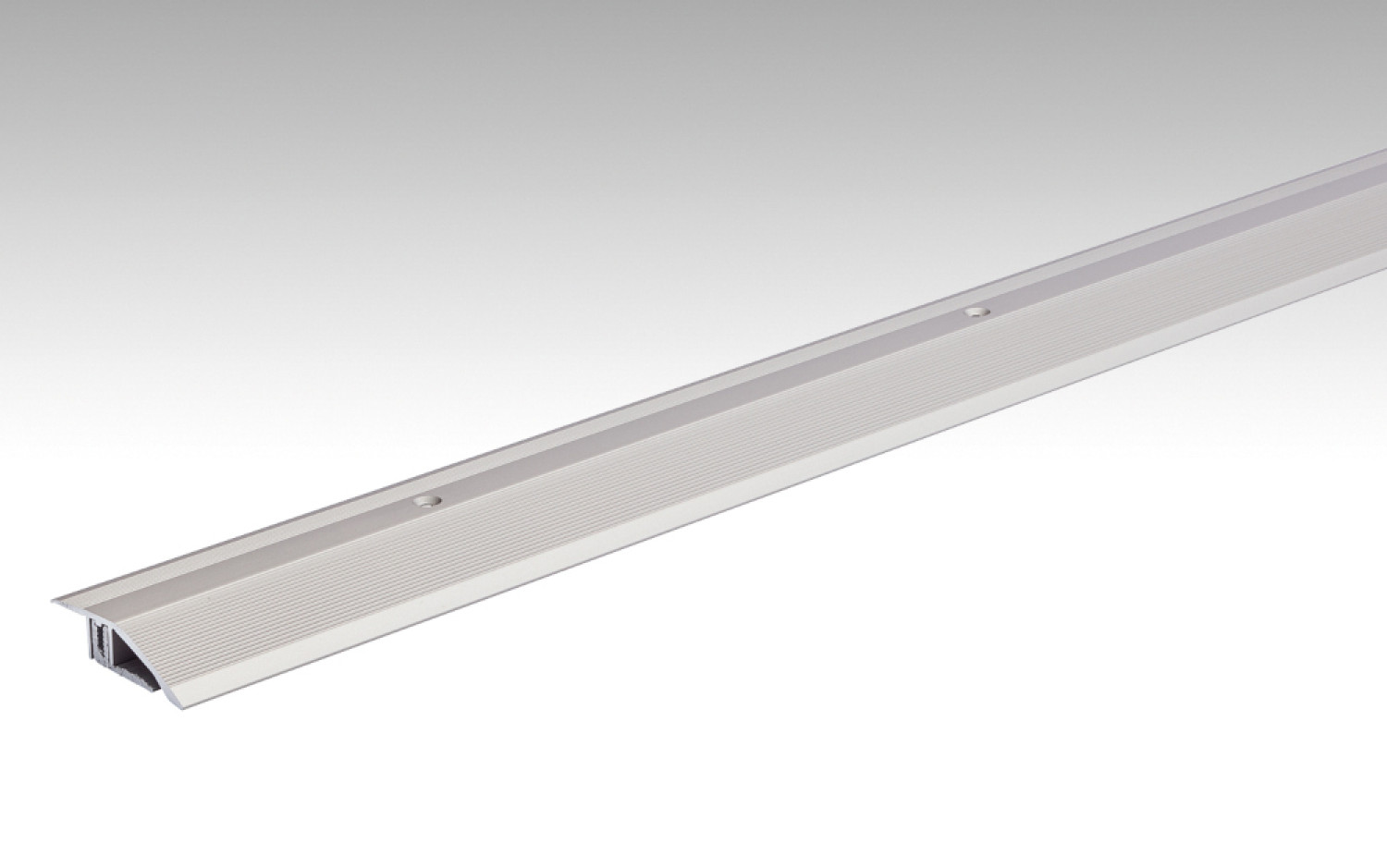 Edelstahl-Optik Anpassungsprofil Typ 200 (100 cm) - MEISTER