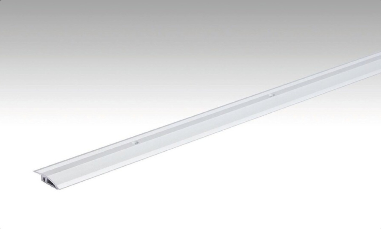 Silber Anpassungsprofil Typ 100 (100cm) - MEISTER