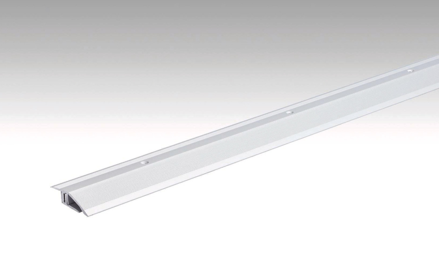 Silber Anpassungsprofil Typ 200 (100cm) - MEISTER