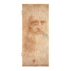 Porträt eines Mannes Innentür Leonardo da Vinci Reproduktion