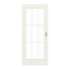 GARANT Schiebetür 0135-60 Rain Resopal mit Lichtausschnitt LA-3 Sprosse SP2