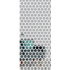 ERKELENZ Glasschiebetür Honeycomb Mattierung mit Motiv klar