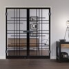 LIENBACHER GLAS Ganzglas Doppelflügeltür Modell 624 Black Signature Klarglas