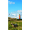 ERKELENZ Glasschiebetür Lighthouse Fotoprint