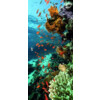 ERKELENZ Glasschiebetür Unterwasser Fotoprint