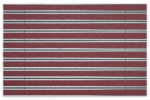 Top-Ansicht von Aluprofilmatte ROYAL Rips T09PP rot / Minibürste MB01 schwarz - Entrada
