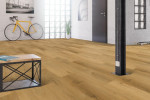 Design Klick-Vinylboden Eiche Nasta Comfortstep TS 1