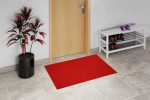 Milieubild Hausflur mit Schuhregal und Pflanze mit Kokosmatte rot 001 80 cm - Entrada