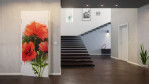 Milieubild 5 von Original Mohnblumen - Marc Knust