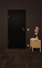 Front-Milieuansicht von GARANT Nassraumtür 0901-60 Black Resopal