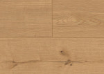 Ansicht von Deine Tür Collection Laminat Moritzburg Long Plank 10 Bild 2