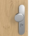 Detailansicht der Oberfläche von GARANT Wohnungseingangstür Authentic Asteiche GCK08 mit Lichtausschnitt LA-8