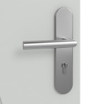 Detailansicht der Oberfläche von Signum 53 Basic Lack Grau RAL 7035 Wohnungseingangstür - Huga