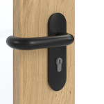 Detailansicht der Oberfläche von GARANT Rauchschutztür Authentic Asteiche GCK08 mit Lichtausschnitt LA-DIN