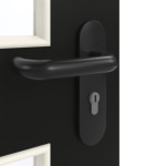 Detailansicht der Oberfläche von GARANT Rauchschutztür 0901-60 Black Resopal mit Lichtausschnitt LA-11