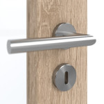 Detailansicht der Oberfläche von GARANT Schallschutztür Authentic Eiche CePaL mit Lichtausschnitt LA-3