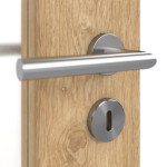 Detailbild der Oberfläche von Asteiche LA 11 Basic Durat Innentür - Huga