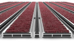 Detailansicht frontal von Aluprofilmatte ROYAL Rips T09PP rot / Minibürste MB01 schwarz - Entrada