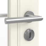 Detailbild Oberfläche RAL 9010 von Doppelflügeltür Stil Premium 41 LA 01