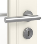 Detailbild Oberfläche RAL 9010 von Doppelflügeltür Stil Premium 21 LA 01