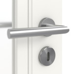 Detailbild Oberfläche RAL 9016 von Doppelflügeltür Stil Premium 41 LA 01