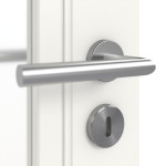 Detailbild Oberfläche RAL 9016 von Doppelflügeltür Stil Premium 20 LA 01
