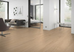Ansicht von Deine Tür Collection Laminat Schönbrunn Long Plank 10 Bild 4