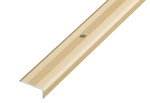 Ansicht von PROSTEP Winkelprofil Aluminium 25x10mm eloxiert Champagne gebohrt 100cm - Proline