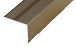 Ansicht von PROSTEP Winkelprofil Aluminium 55x44mm eloxiert Bronze gebohrt 270cm - Proline