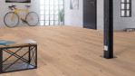 BA-cozy-klassik-parkett-10160-Loft-02